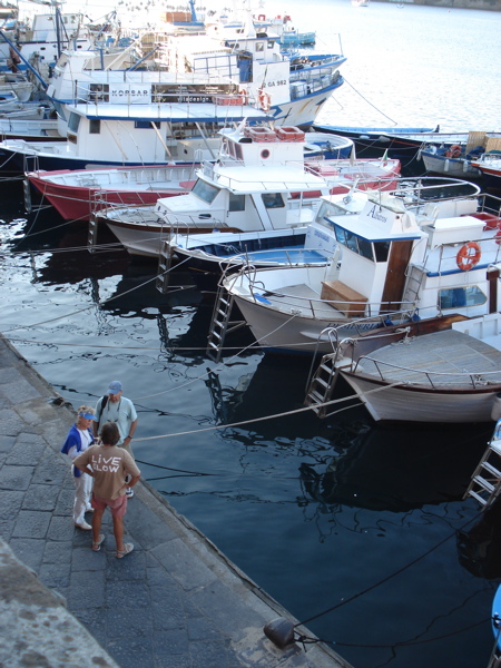 DSC01541