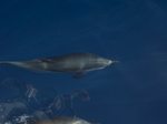 conv12.jpg