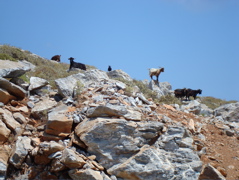 Amorgos