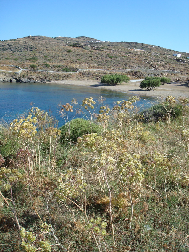 Sifnos/Pharos
