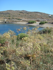 Sifnos/Pharos