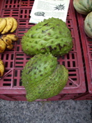 PICT0015.JPG