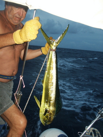 transat2 - 46