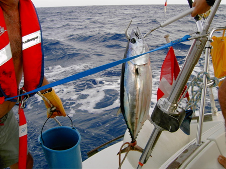 transat3 - 6