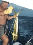 transat2 - 46